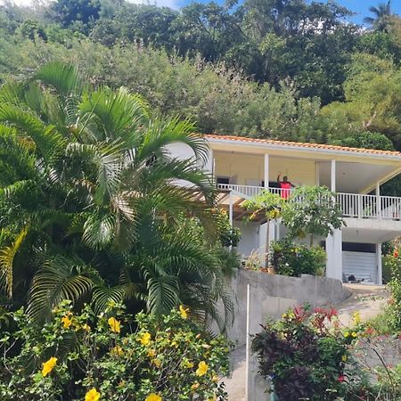 Villa Zephyr Domaine Roses Des Vents Сент-Мари Экстерьер фото